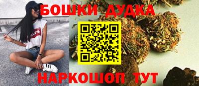 крисы Нальчик