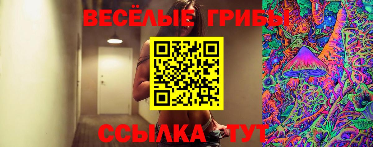 Галлюциногенные грибы мицелий Тихорецк