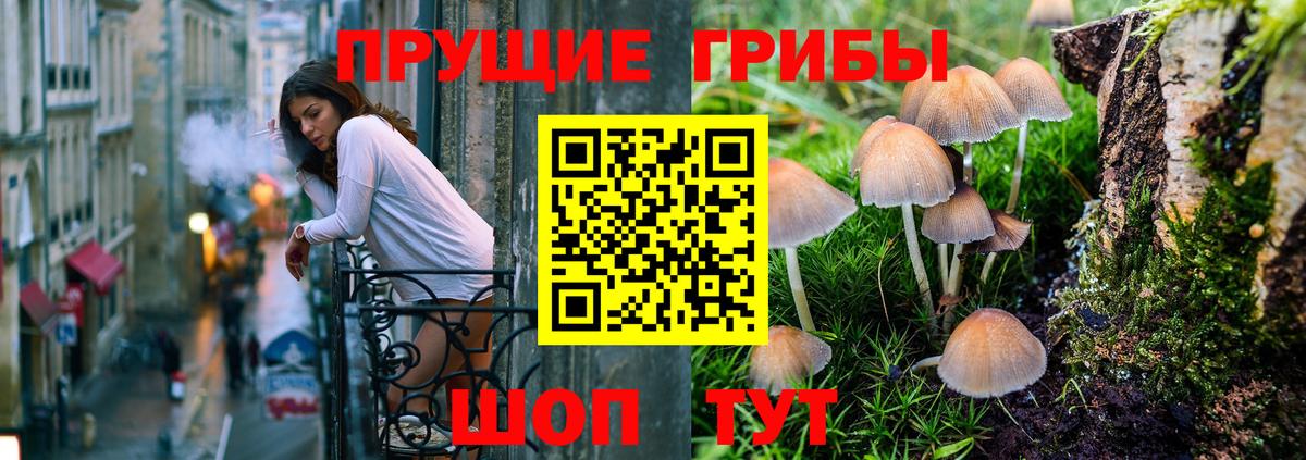 Тихорецк  Галлюциногенные грибы мицелий  Вход с VPN 