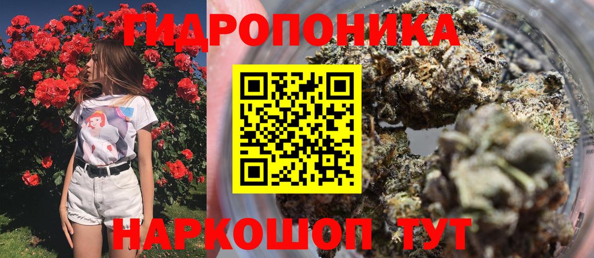Бошки Шишки гибрид Тихорецк